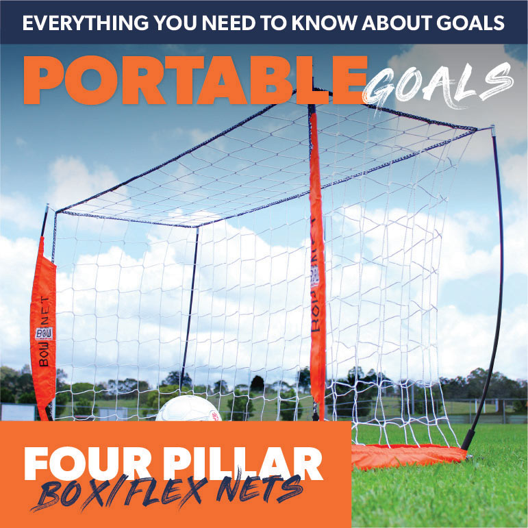 PORTABLE GOALS & TARGETS: Four Pillar