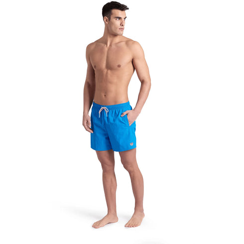 arena Mens Pro File Beach Board Shorts