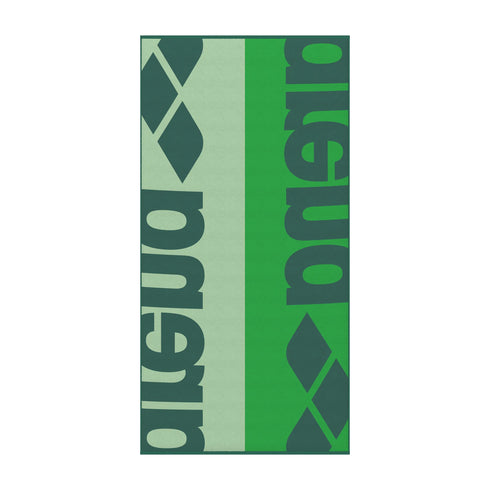 arena Logotype Velour Towel