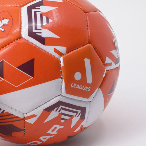 Brisbane Roar A-League Mini Ball