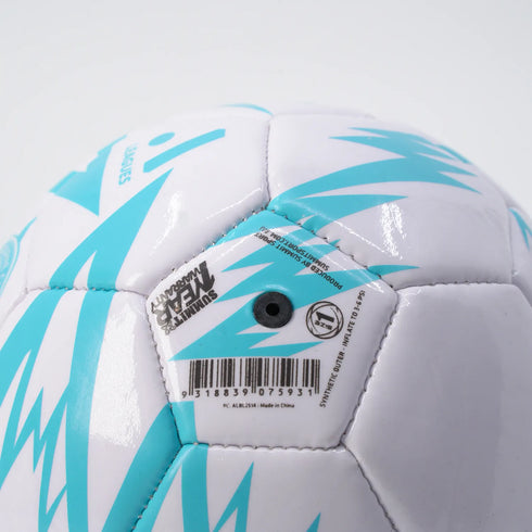 Melbourne City FC A-League Mini Ball