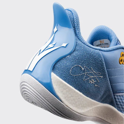 361° Nikola Jokić Team Joker