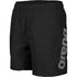 arena Boys Fundamentals Board Shorts