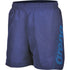 arena Boys Fundamentals Board Shorts