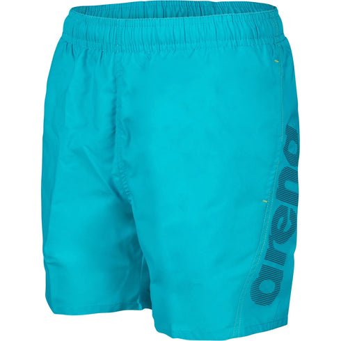 arena Boys Fundamentals Board Shorts