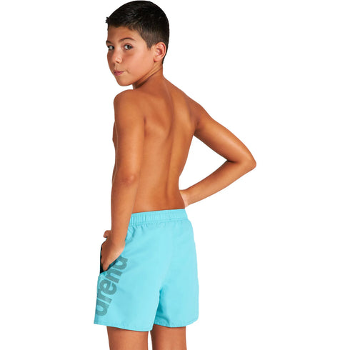 arena Boys Fundamentals Board Shorts
