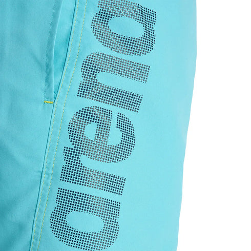 arena Boys Fundamentals Board Shorts