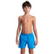 arena Boys Solid Beach Board Shorts