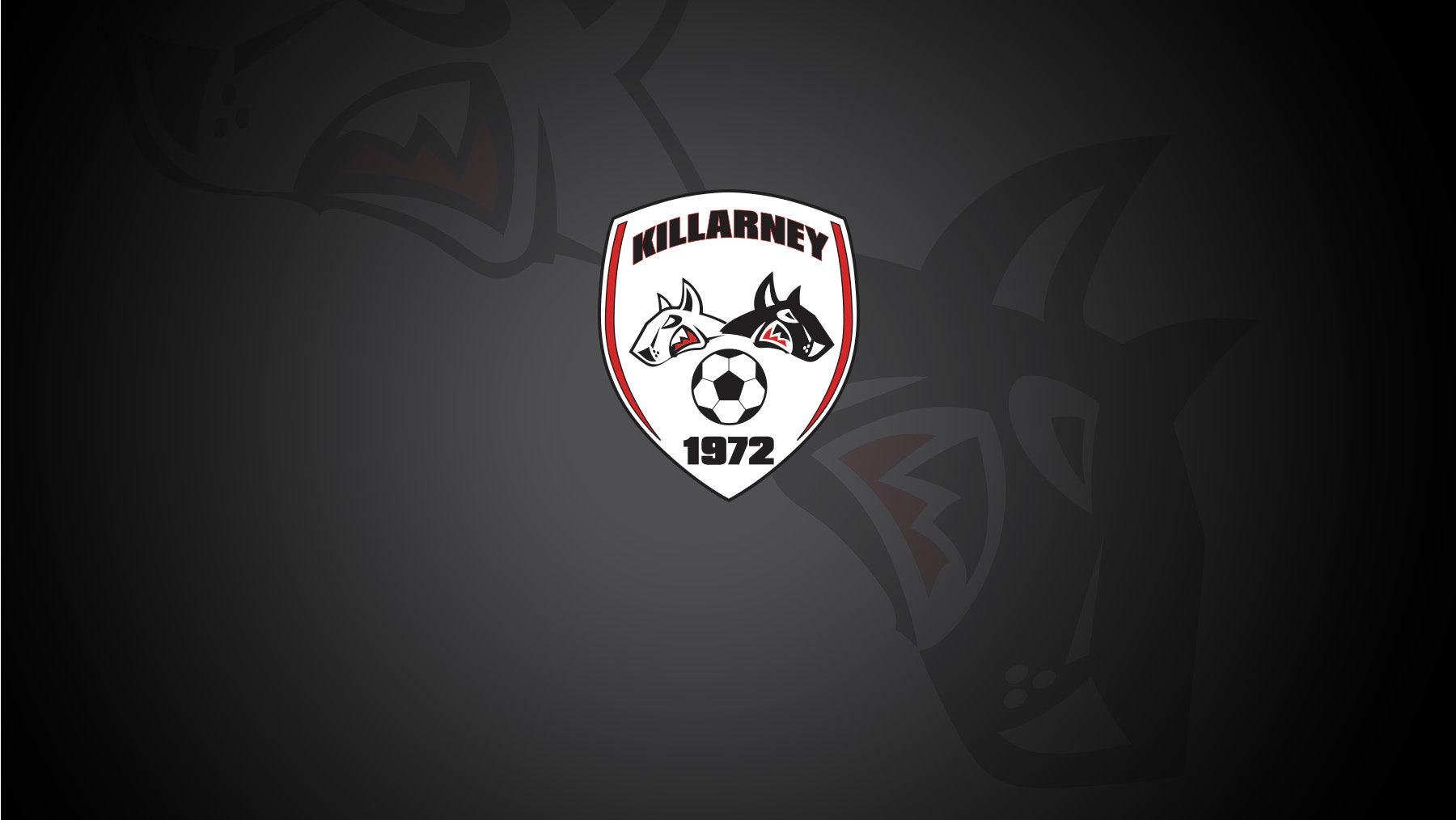 Killarney District Soccer Club