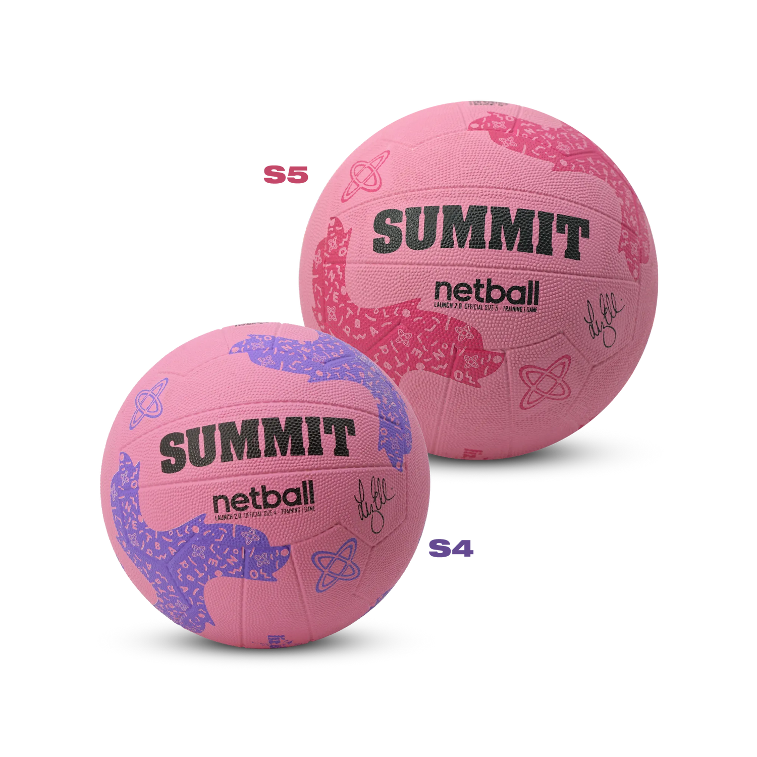 SUMMIT Launch 2.0 - Liz Ellis Netball