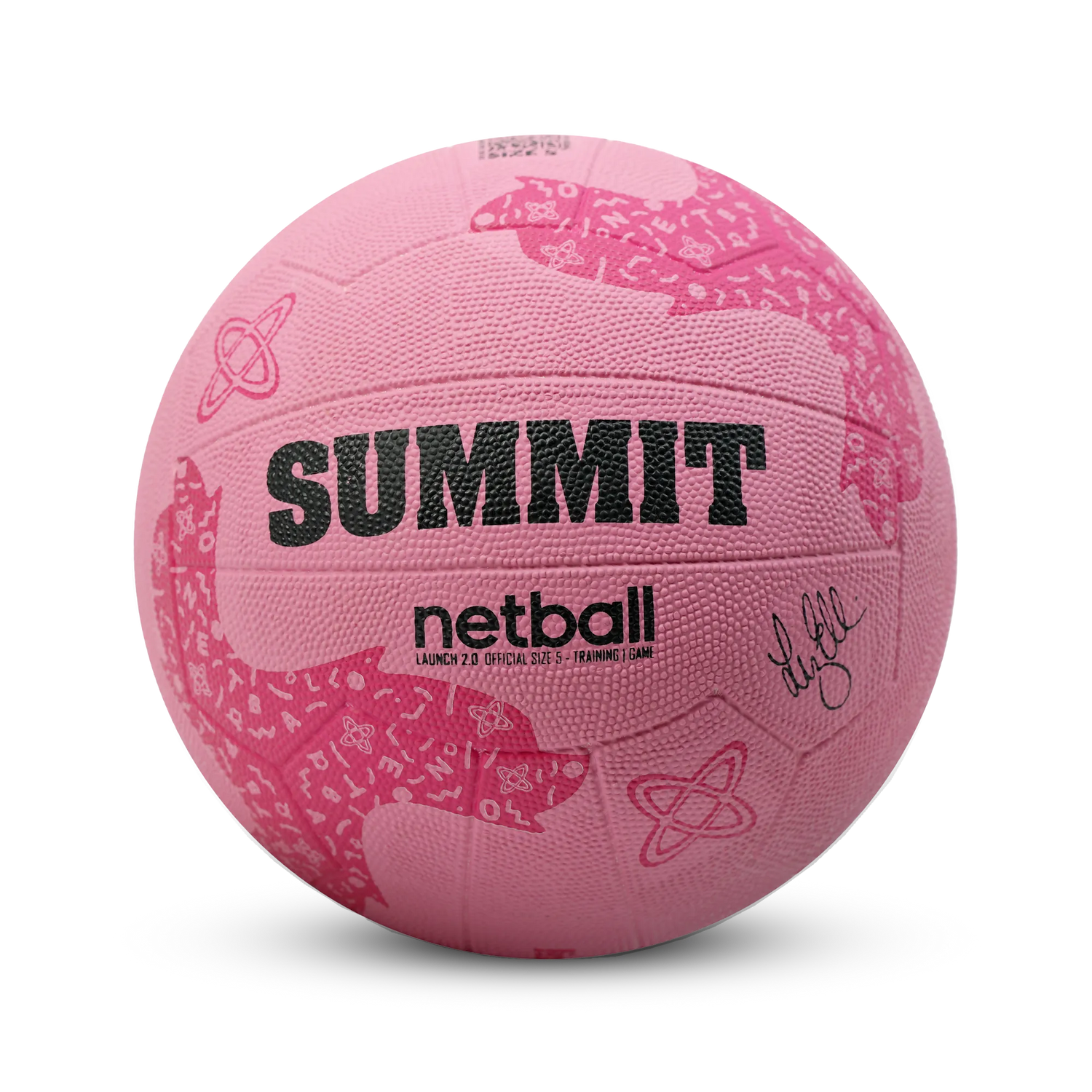 SUMMIT Launch 2.0 - Liz Ellis Netball