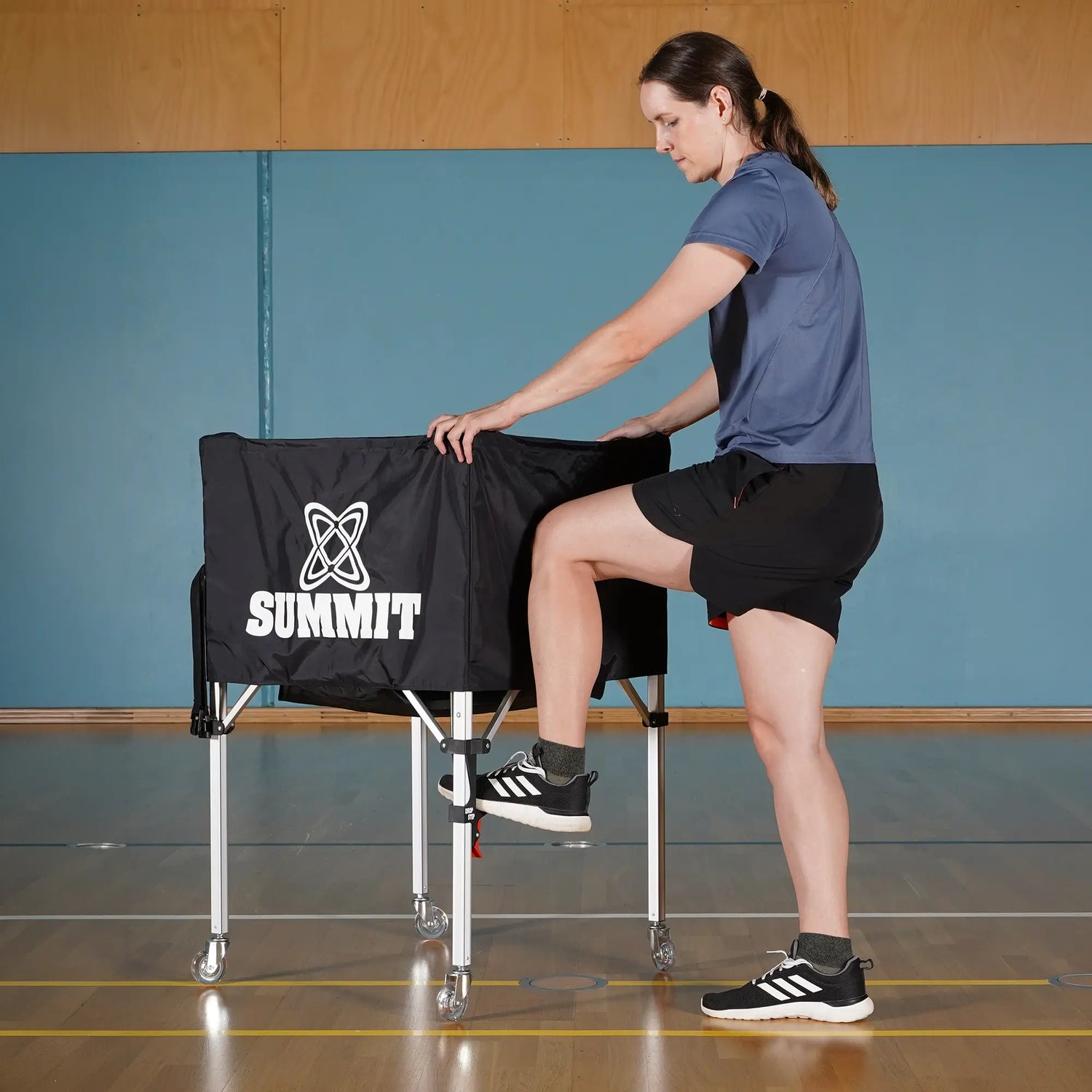 SUMMIT Ball Carry Cart