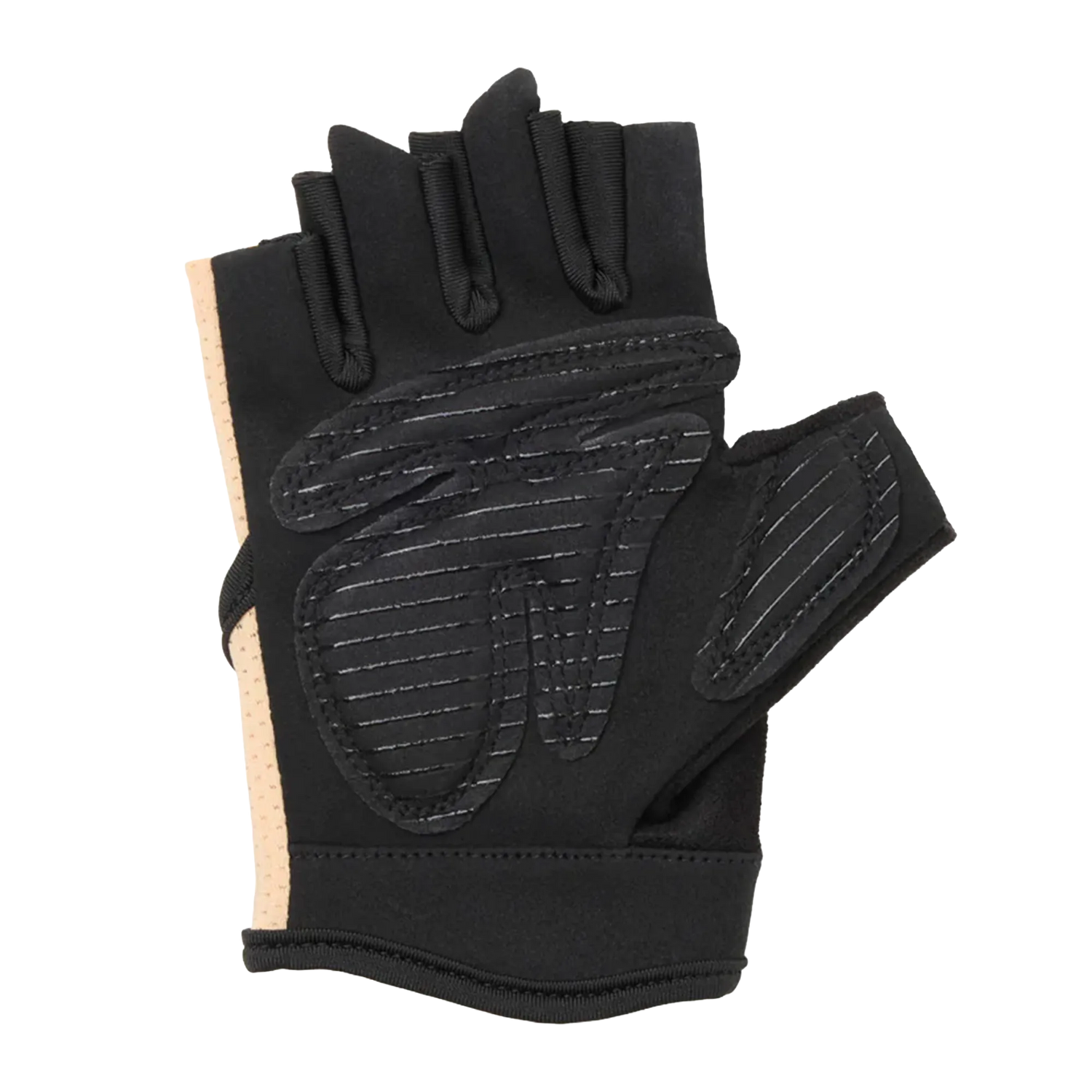 Everlast Venus Fitness Glove