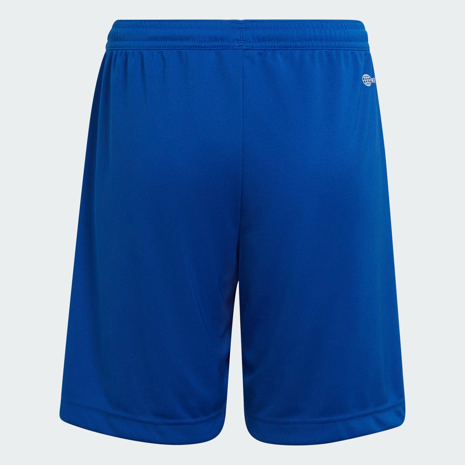 adidas Entrada 22 Kids Shorts
