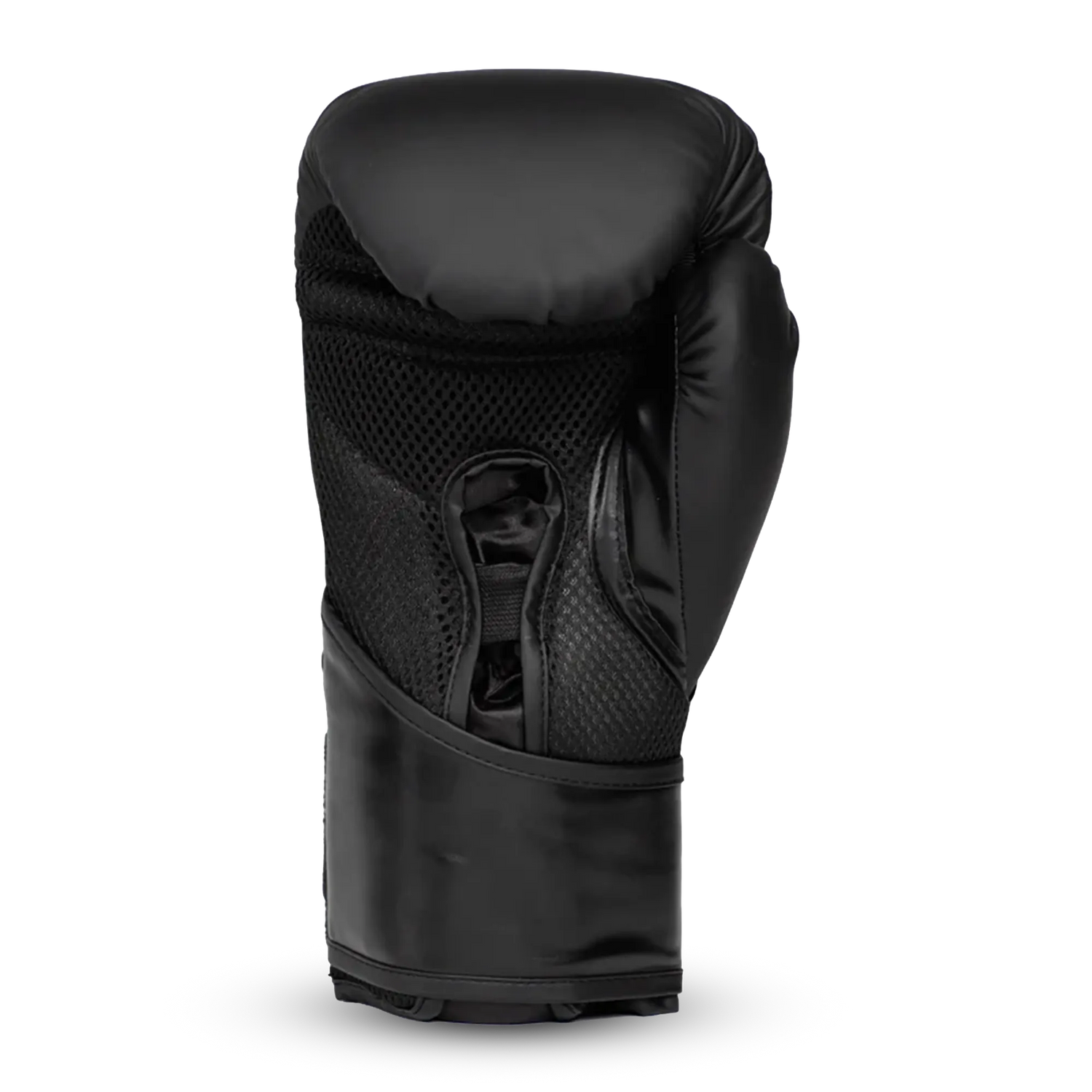 Everlast Elite Boxing Gloves