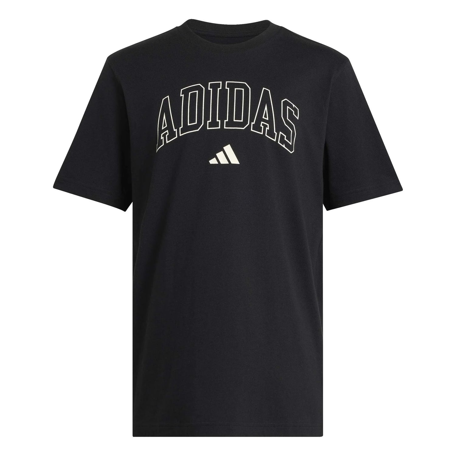adidas Collegiate Lineage Graphic Men's Tee