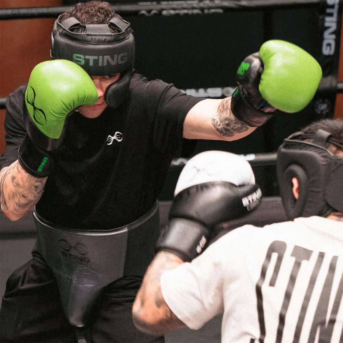 STING Orion Boxing Gloves