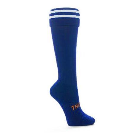 Thinskins Technical Sport Long Socks - Striped Top Apparel SUMMIT Royal/White S 